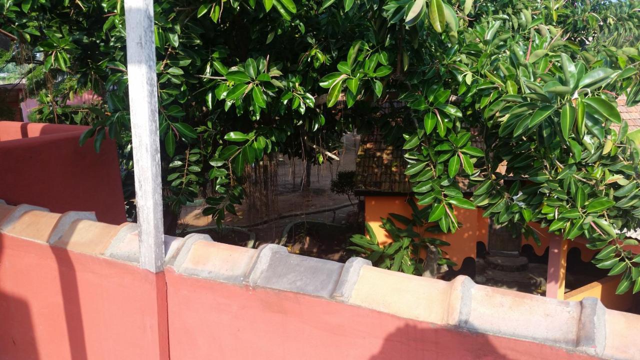 Big Milly'S Backyard Hotel Kokrobite Bagian luar foto